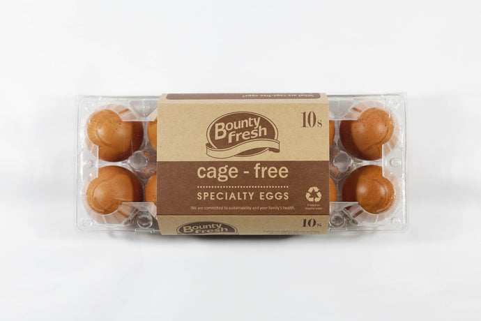 Bounty Fresh Brown Egg 10s