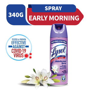 Lysol Disinfectant Spry Early Mrning Breeze 340g