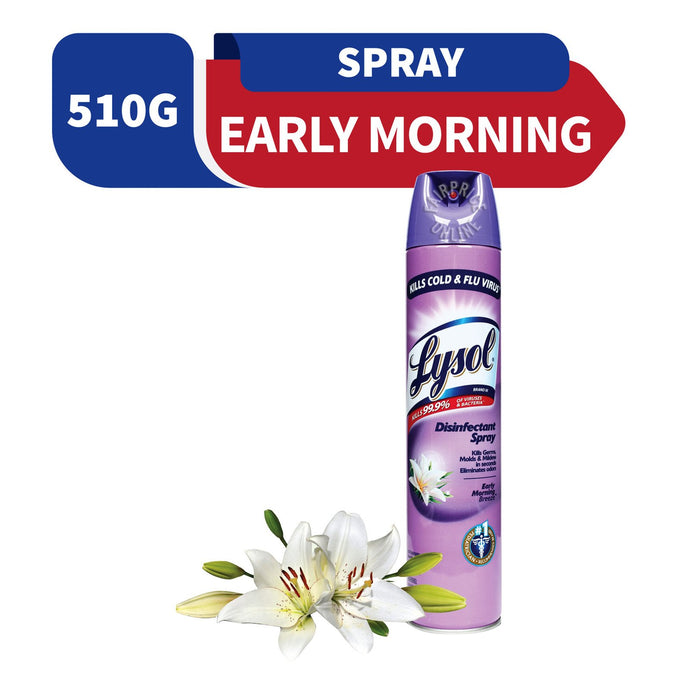 Lysol Disinfectant Spry Early Mrning Breeze 510g